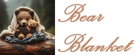Bear Blanket | Blankets and Pullovers that warm the soul!
